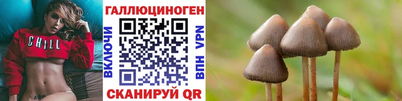 продажа наркотиков  Омутнинск  Псилоцибиновые грибы Magic Shrooms 
