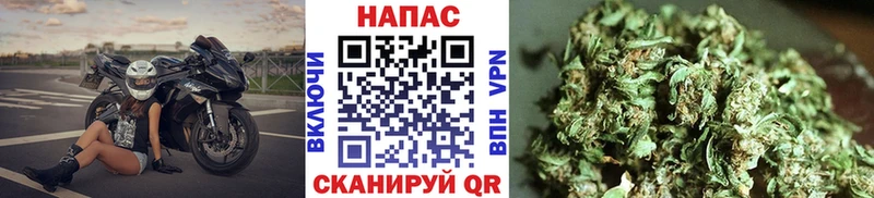 Бошки марихуана Amnesia  Омутнинск 